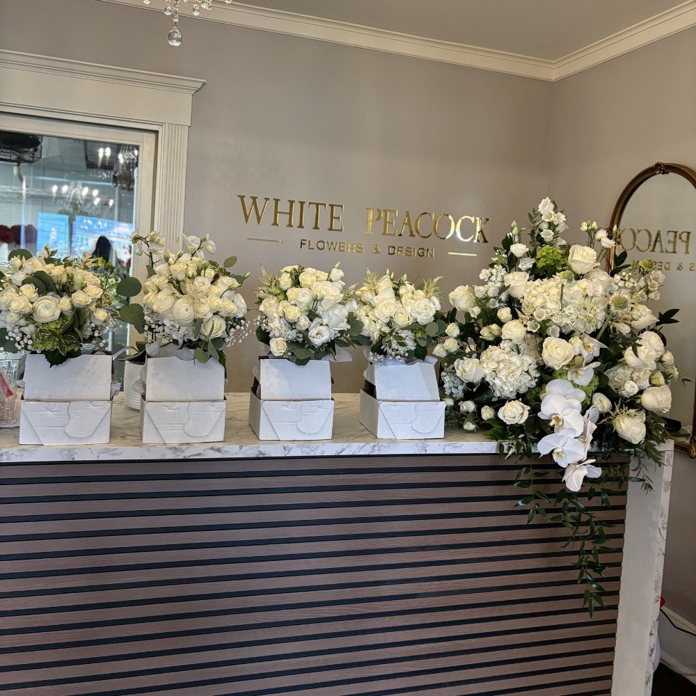 Ivory Serenade - Image 4