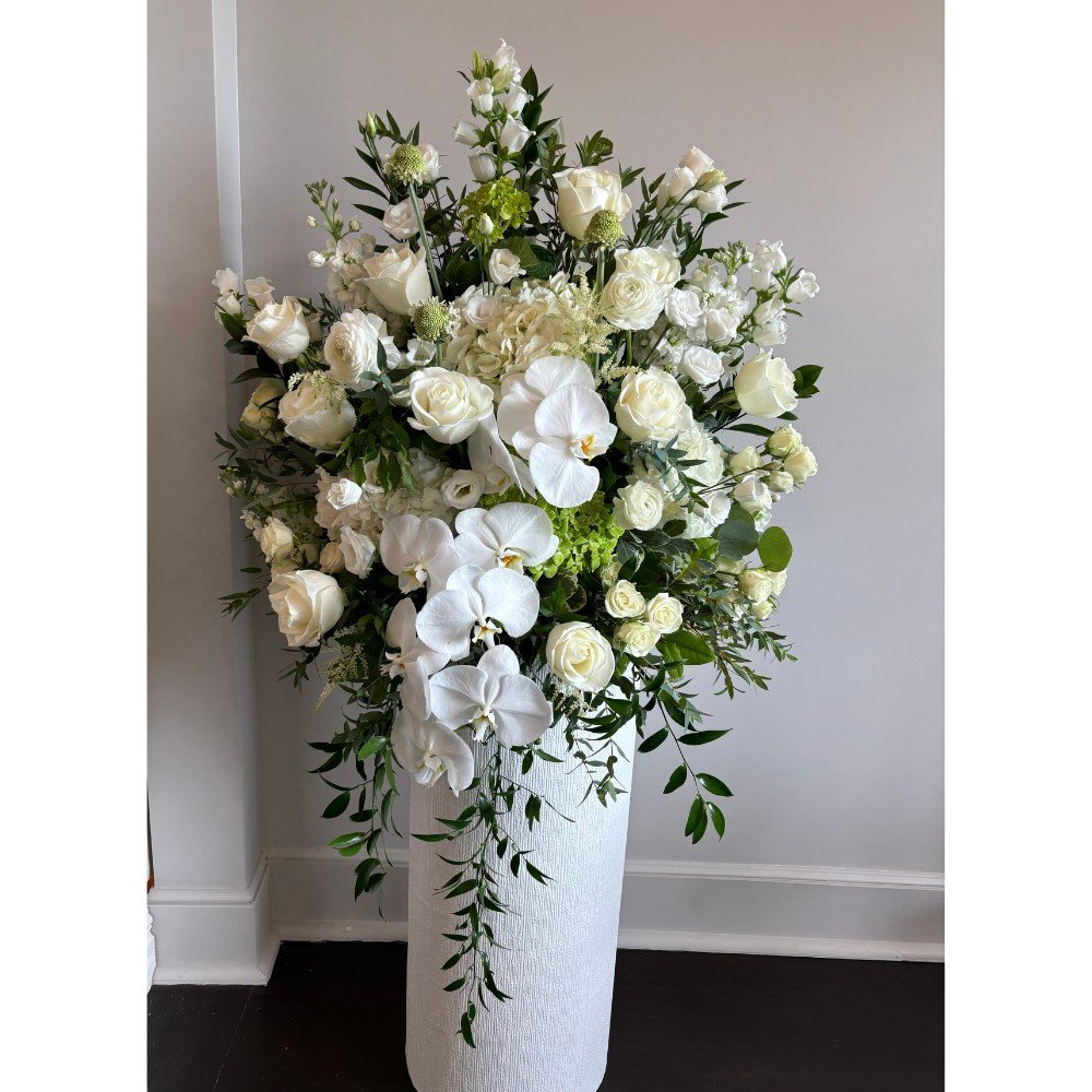 Ivory Serenade - Image 2